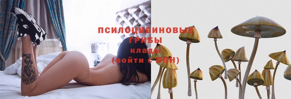 круглые Краснослободск