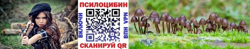 Галлюциногенные грибы ЛСД OMG ссылки Приморско-Ахтарск где купить