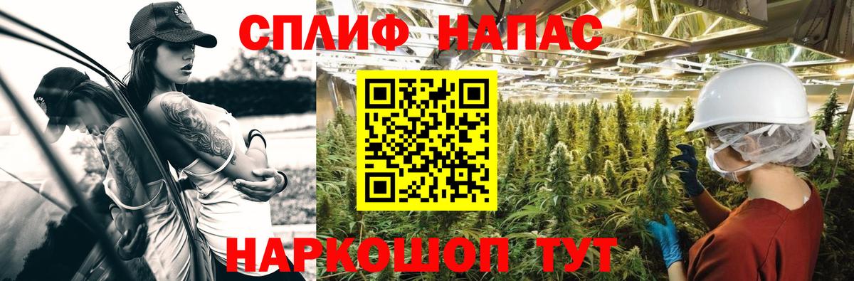 Марихуана тримм  Вход с VPN  Приморско-Ахтарск  Марихуана THC 21%  Бошки марихуана Bruce Banner 